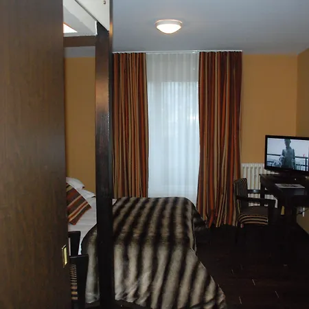 艾瑞娜spa酒店 3*