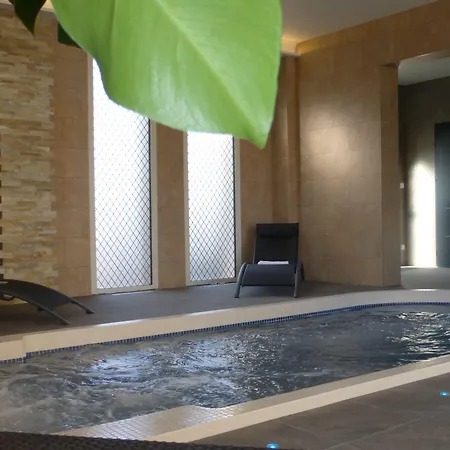 酒店 艾瑞娜spa酒店 3*