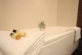 艾瑞娜spa酒店 3* 蓬托尔松