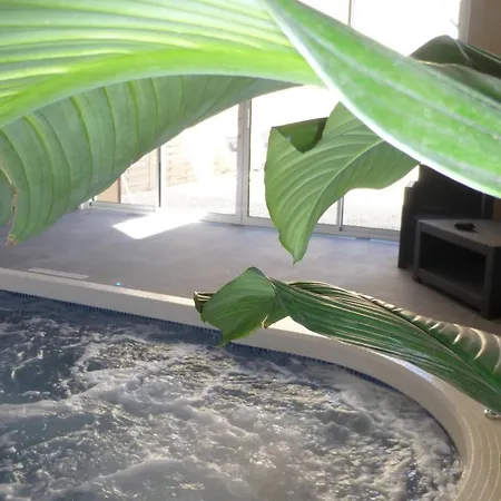 艾瑞娜spa酒店 3*