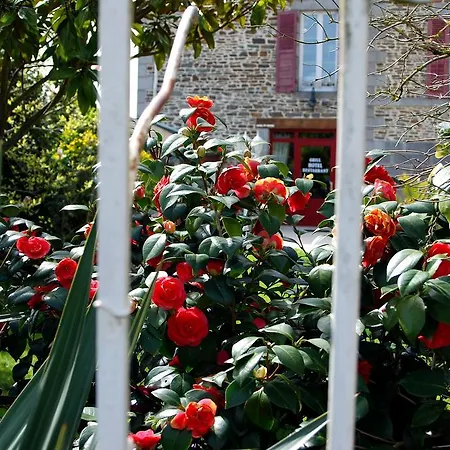 Ariane & Отель 3*